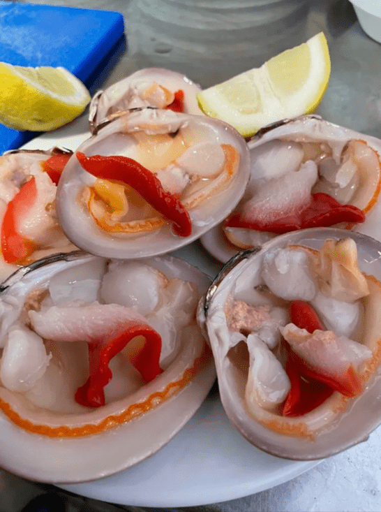 Conchas finas Málaga